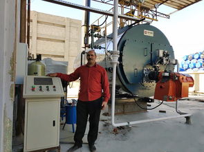 工厂天然气锅炉价格