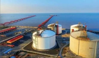 中俄能源合作续演：平实共进的“石油天然气婚姻”